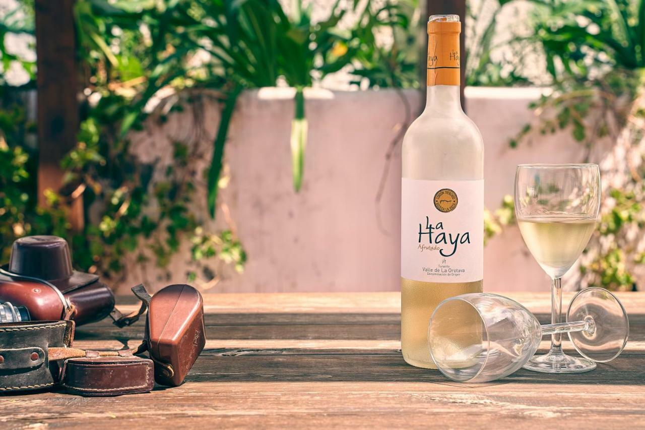 Superior G: Private Pool & Concierge Διαμέρισμα Icod De Los Vinos Εξωτερικό φωτογραφία